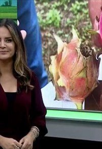 programa
