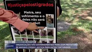 programa