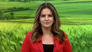 programa