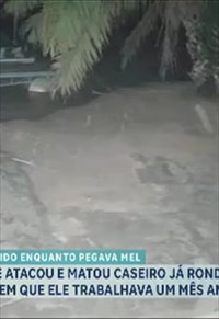 programa