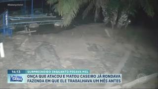 programa