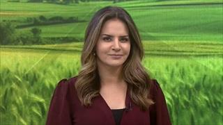 programa