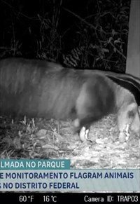 programa