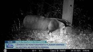 programa