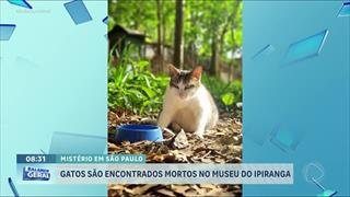 programa