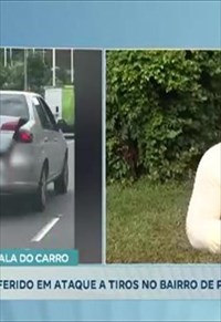 programa