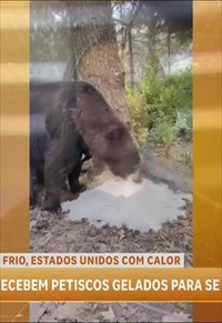 programa