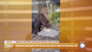 programa