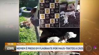 programa