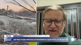 programa