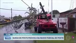 programa