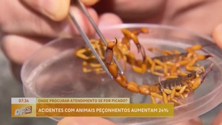 programa