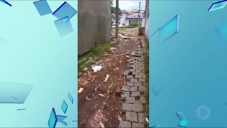 programa