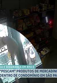 programa