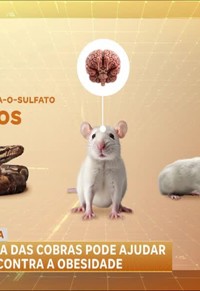 programa