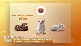 programa