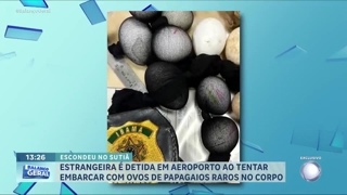 programa