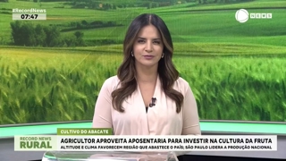 programa