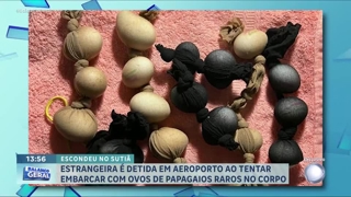 programa
