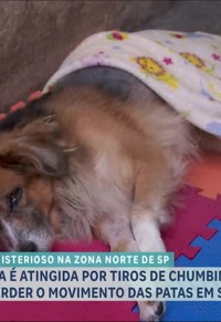 programa