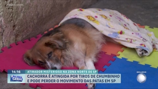 programa