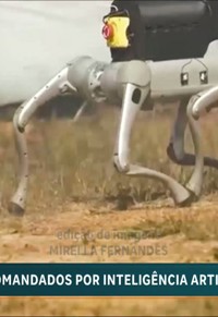programa