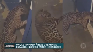 programa