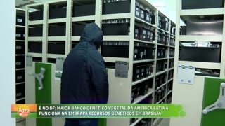 programa