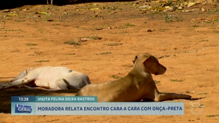 programa